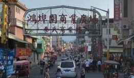 鸿埠园最新爆料,揭秘神秘项目背后的惊人真相